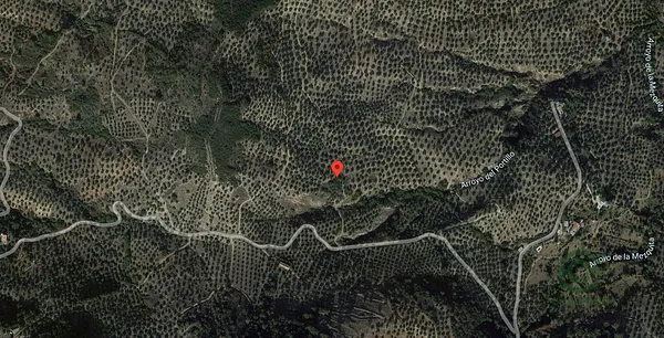 Finca rústica de 0,8552 ha en venta en Martos, Jaén