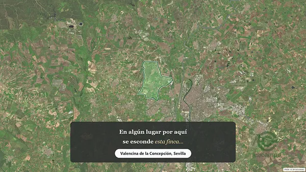 Spot image
