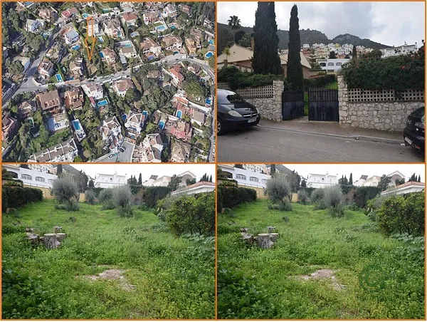 Spot image