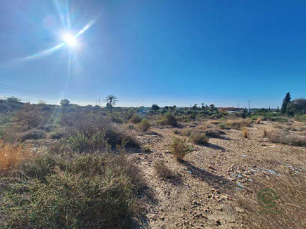 Finca rústica de 0,175 ha en venta en Elche/Elx, Alicante
