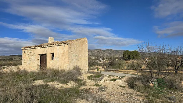 Spot image