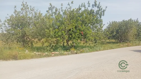 Spot image
