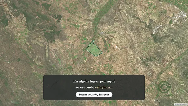 Spot image