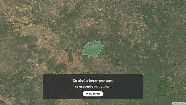 Spot image