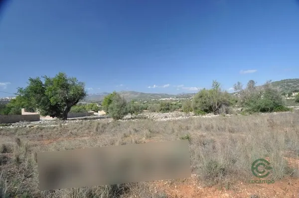 Spot image