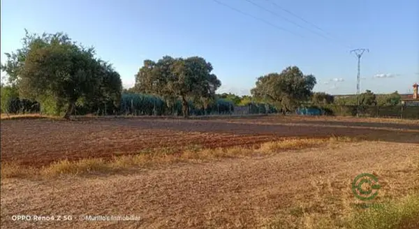 Finca rústica de 1,6 ha en venta en Badajoz