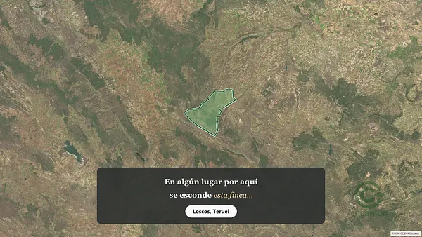 Spot image