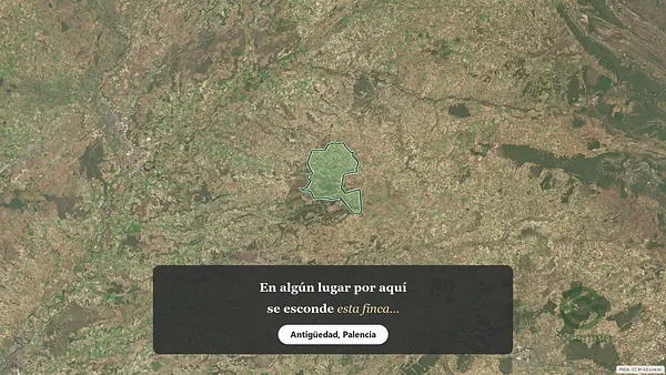 Spot image