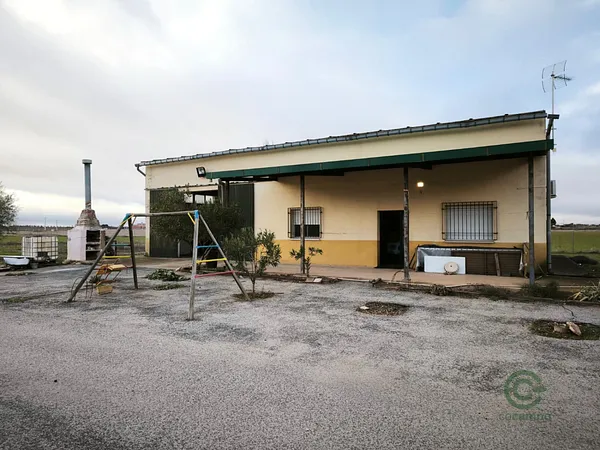 Spot image