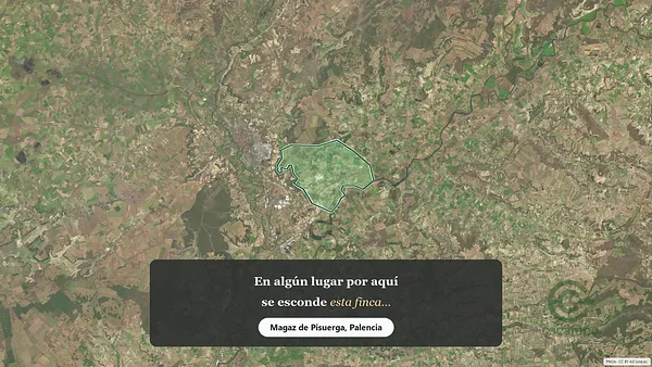 Spot image