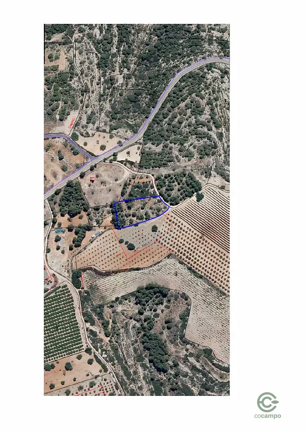 Spot image