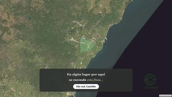 Spot image