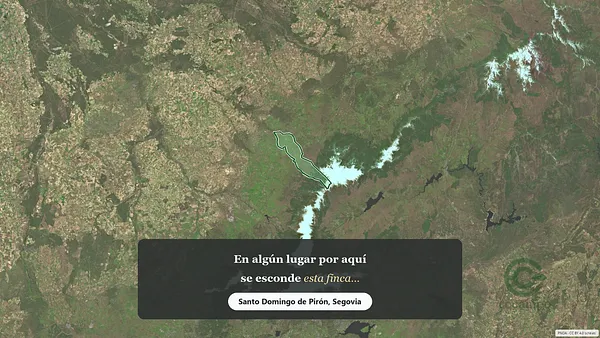 Spot image