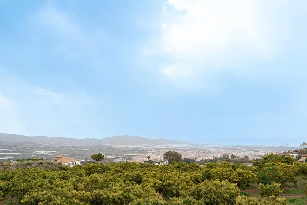Finca agrícola de 0,622 ha en venta en Motril, Granada