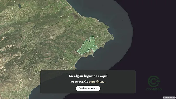 Spot image