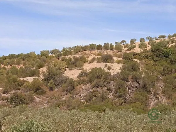 Finca agrícola de 36,1708 ha en venta en Moron de la frontera, Sevilla