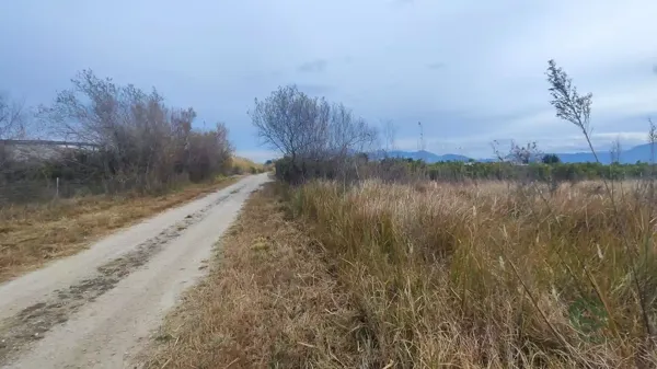 Spot image