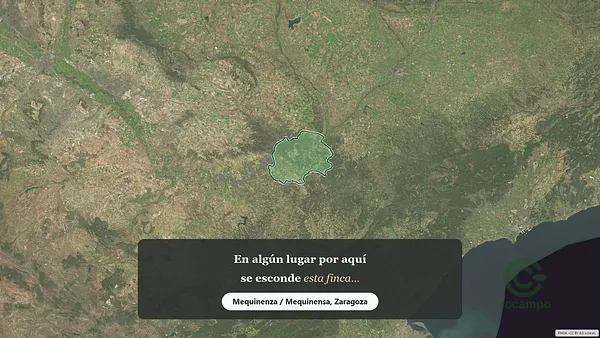Spot image