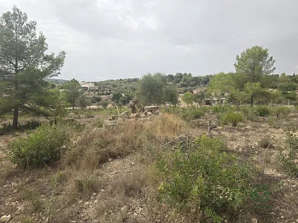 Spot image