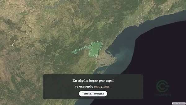 Spot image