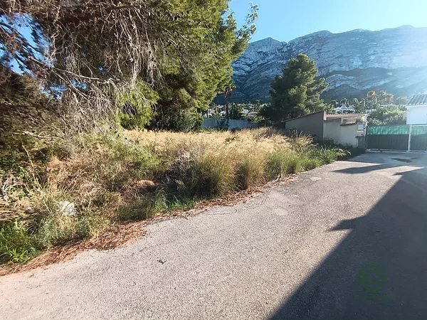 Spot image
