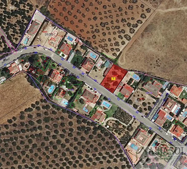 Spot image