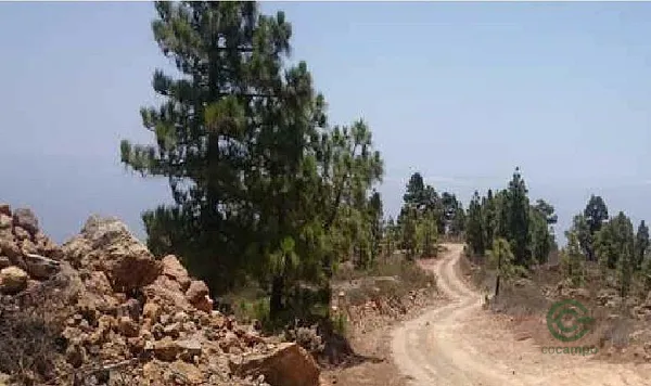 Finca forestal de 3,918 ha en venta en Villa de arico, Sta. cruz tenerife