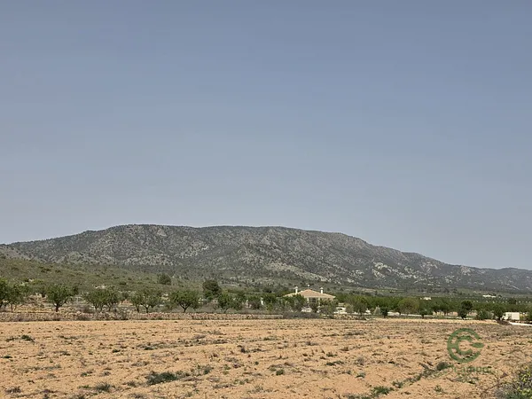 Spot image