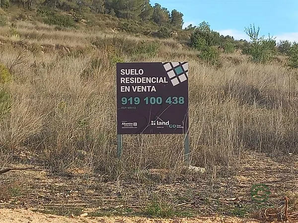 Spot image