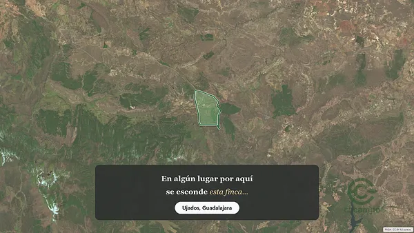 Spot image