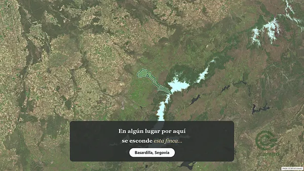 Spot image
