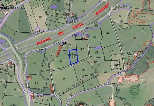 Spot image