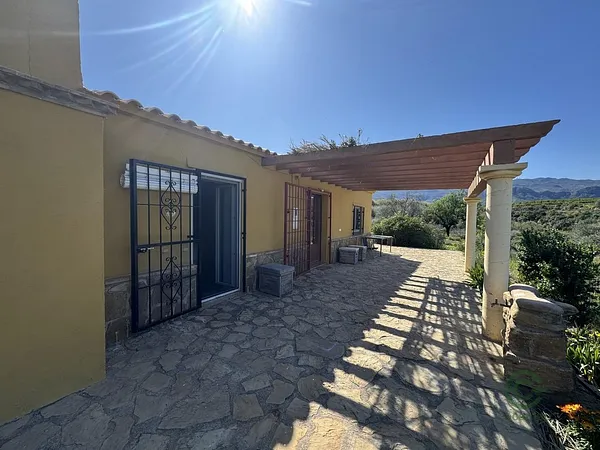 Spot image