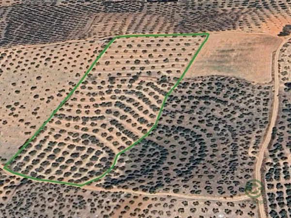 Finca agrícola de 2,34 ha en venta en Granada