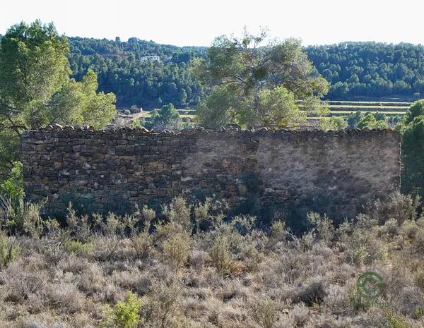 Spot image