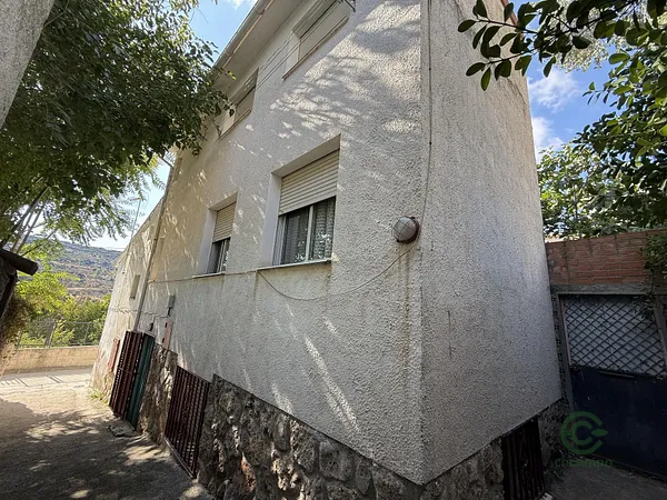 Spot image