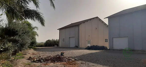 Spot image