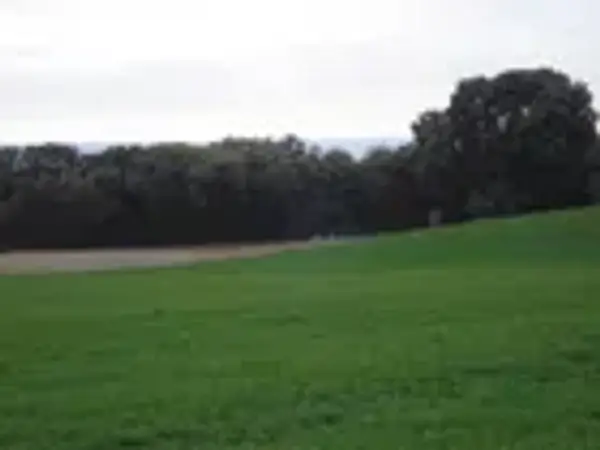 Finca agrícola de 19,27 ha en venta en Guadalajara