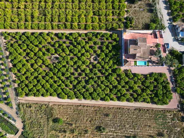 Finca agrícola de 0,948 ha en venta en Alicante
