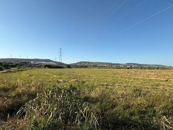 Spot image