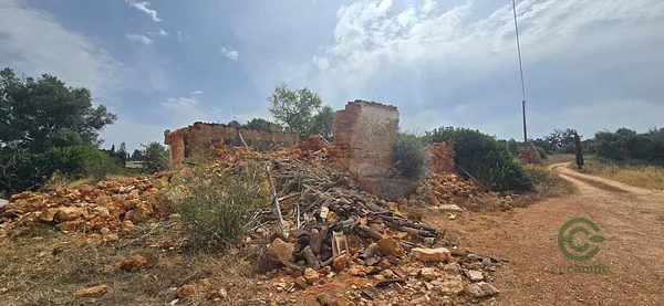 Spot image