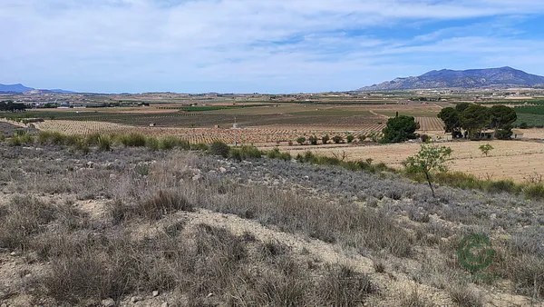 Finca agrícola de 1,73 ha en venta en Pinoso, Alicante