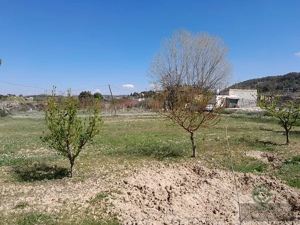 Spot image