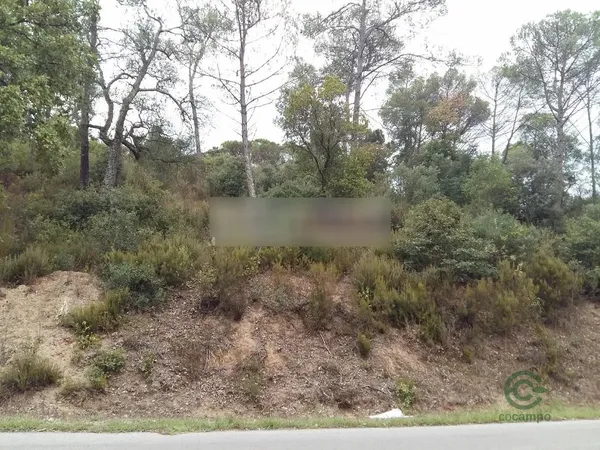 Spot image