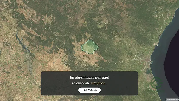 Spot image