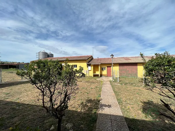Spot image