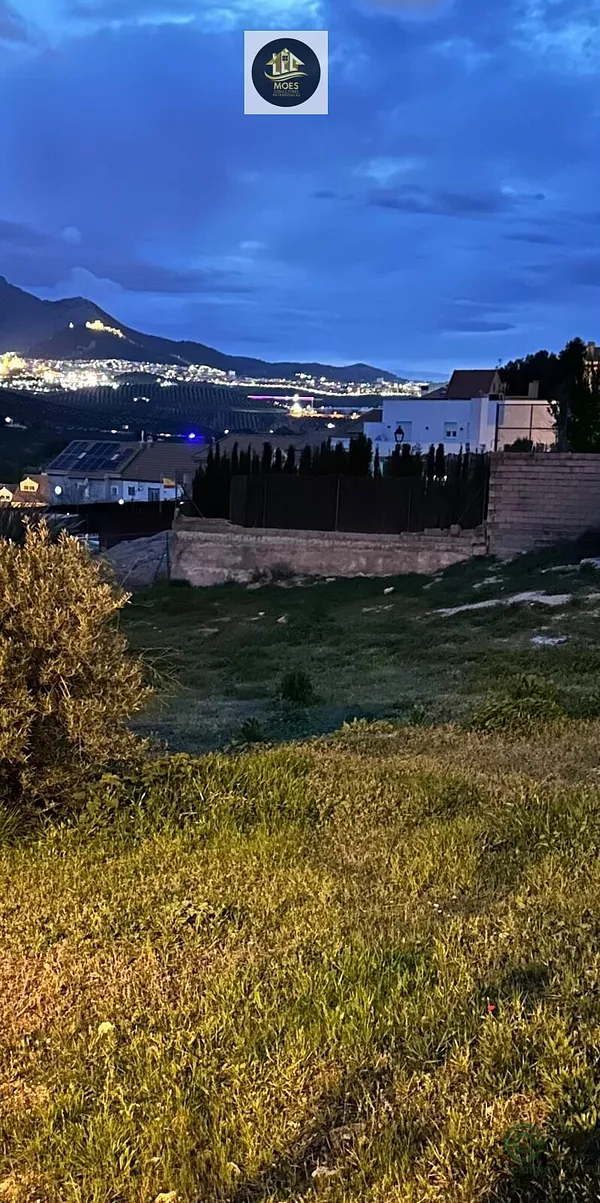 Spot image