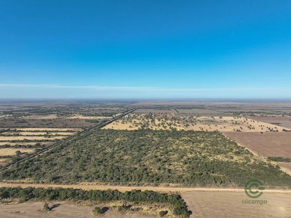 Finca rústica de 216 ha en venta en Córdoba