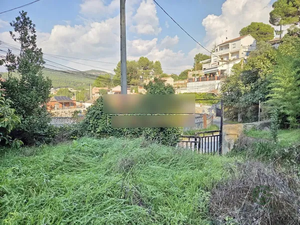 Spot image