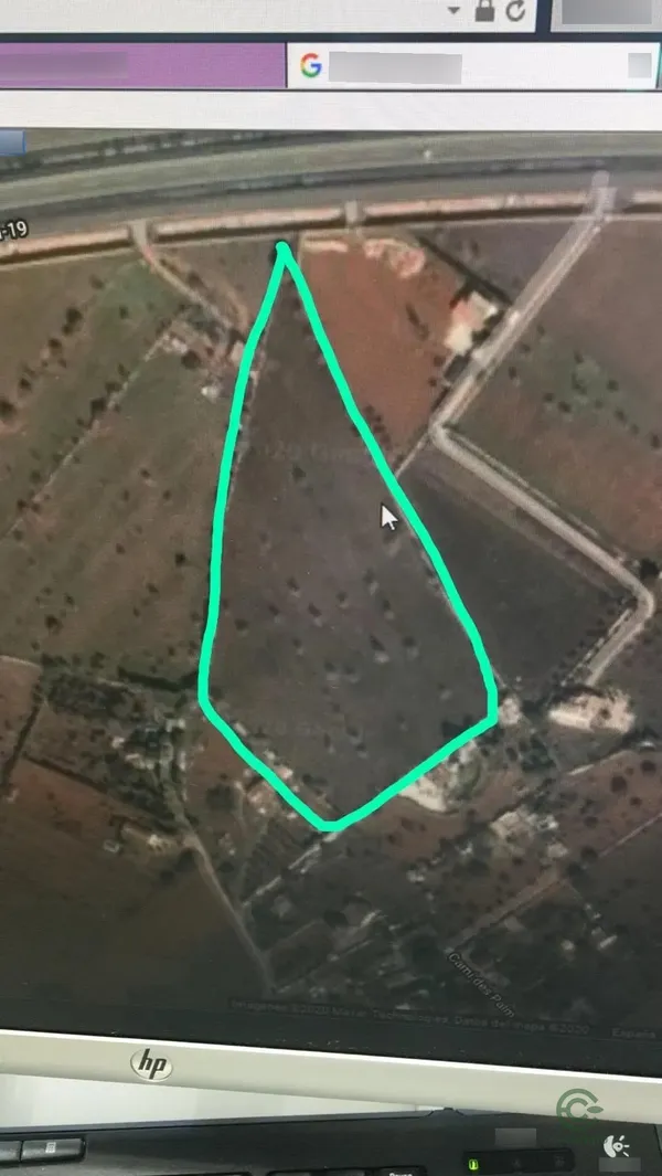 Spot image